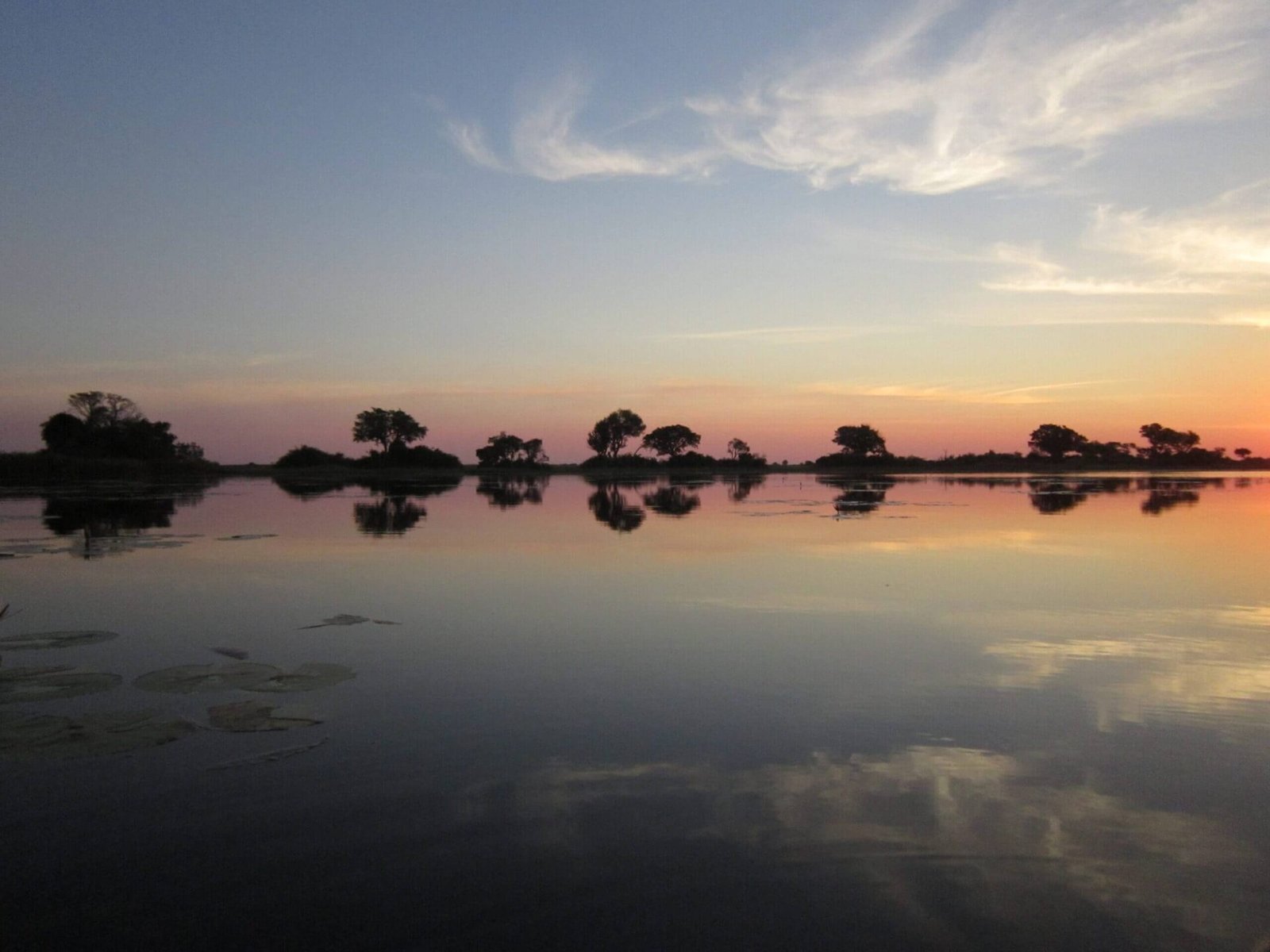 First Memories of a Bush Ways Safari