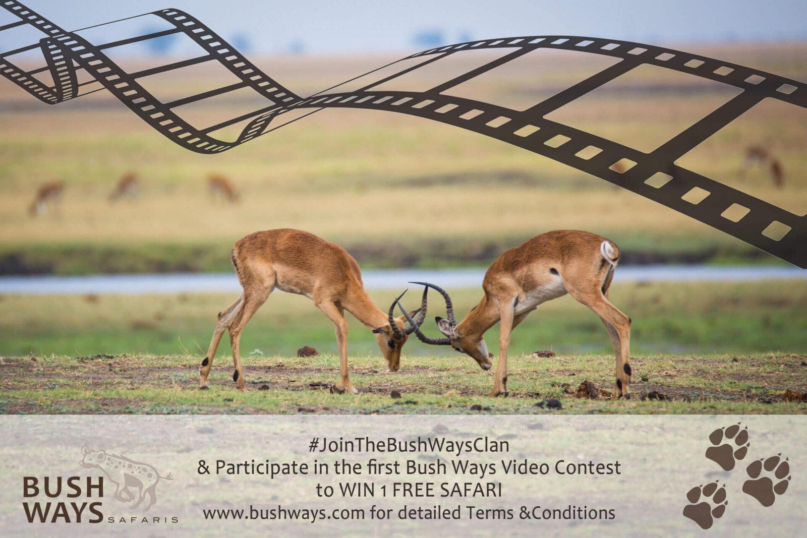 1st Bush Ways Video Contest