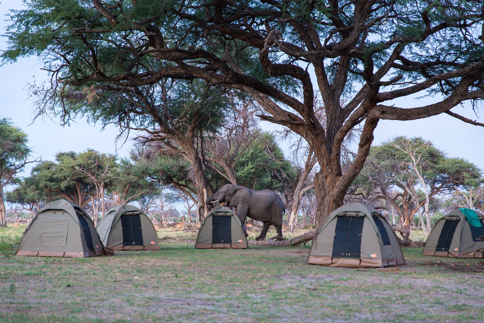 Adventure Camping Safaris