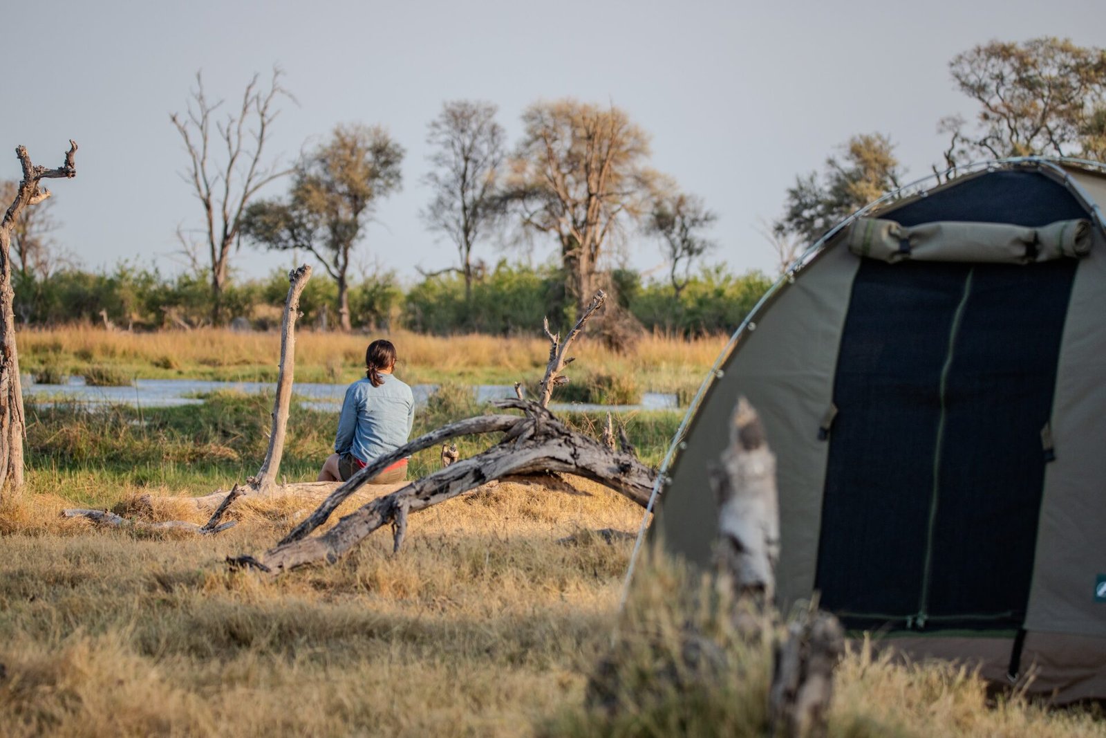 US Traveller’s Guide to Booking a Botswana Safari: Flights, Routes and Time Zones Explained
